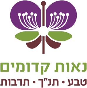 לוגו נק צבע עברית שקוף